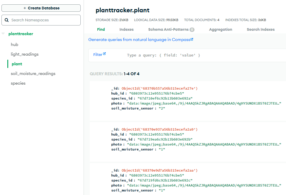 Screenshot of the MongoDB database